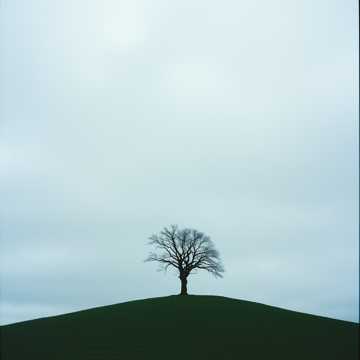 Missing days cover